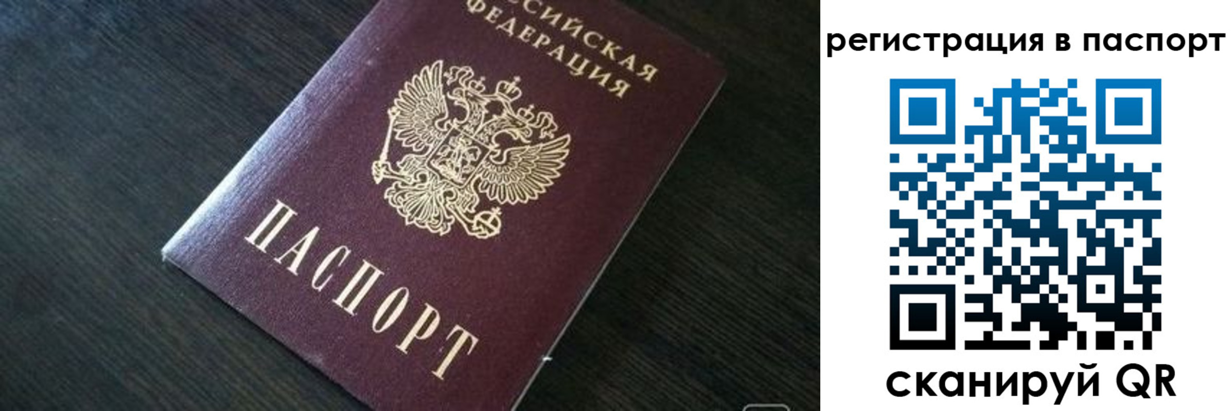 прописка в квартире в Славгороде